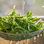 Cancer Prevention: 7 Desi Superfoods That Can Lower Your Risk