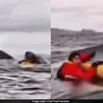 Humpback Whale Gulps Kayaker In Chile, Father Was Recording Video