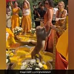 Watch: Monkey Steals Food From ‘Haldi’ Ceremony, Leaves Guests In Splits