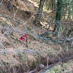 Pak Army Suffered ‘Heavy Casualties’ After Ceasefire Violations Along LoC