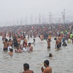 All About Faecal Coliform Bacteria, Found In River Water In Maha Kumbh