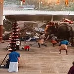3 Killed As 2 Elephants Run In Panic, Cause Stampede At Kerala Temple