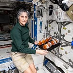 62 Hours Of Spacewalk, Gardening: How Sunita Williams Is Spending Time In Space