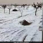 This Snow-Covered Winter Wonderland Is In Rajasthan, Not Kashmir
