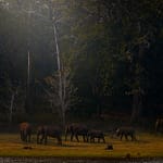 7 Offbeat Weekend Getaways From Bengaluru For Your Next Escape