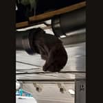 Pics Show What Clogged Air India Lavatories, Causing Flight To Return To US