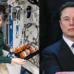 What Elon Musk Said About Sunita Williams’ Return After 9-Month Space Stay