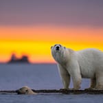 6 Places On Earth Where The Sun Never Sleeps