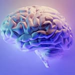 Study Of Single Neuron Activity Helps Understand Abstract Thinking In Humans