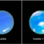 Neptune_1_1743059657892