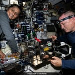 Lettuce To Vitamins: Sunita Willams And Butch Wilmore’s Experiments In Space