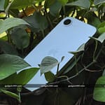 apple_iphone_16e_design_ip68_gadgets_360_1742907852774