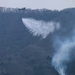 Japan Struggles With Largest Wildlife In Half A Century, 4,000 Evacuated
