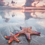 7 Most Stunning Beaches In Southeast Asia