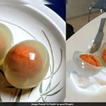 Penguin Eggs Turn Transparent When Boiled? What Science Says