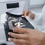 Breakthrough DNA Technique Could Help Solve Cold Cases Involving Rape, Murder