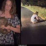 US Influencer Who Picked Baby Wombat Was “Concerned”, Is “Truly Sorry”