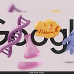 Google Doodle Celebrates Women In STEM On International Women’s Day