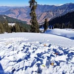 “Zero Civic Sense”: Plastic Waste, Gutka Stains At Indian Hill Station Infuriates Internet