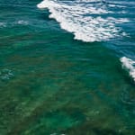 Oceans Were Once Green, Could Change Colour Again: Study