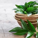 Diabetes: Here’s How Chewing Curry Leaves Every Morning Can Help Control Blood Sugar Levels
