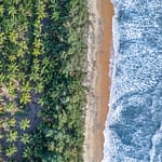 12 Stunning Blue Flag Beaches In India That Are Pure Coastal Bliss