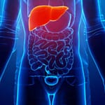 Alcohol Isn’t The Only Issue; Other Factors That Are Worsening Your Liver Health