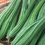 Here’s How Ridge Gourd Can Boost Your Health