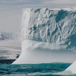 How Insects, Smallest Animals Survive Antarctica