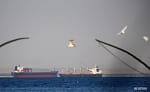 omrp6b7g houthis attacks us ship 625x300 19 January 24 joL506