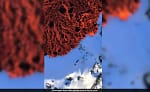 vagdk26g lava flowing over snow  625x300 12 November 24 f2jybV