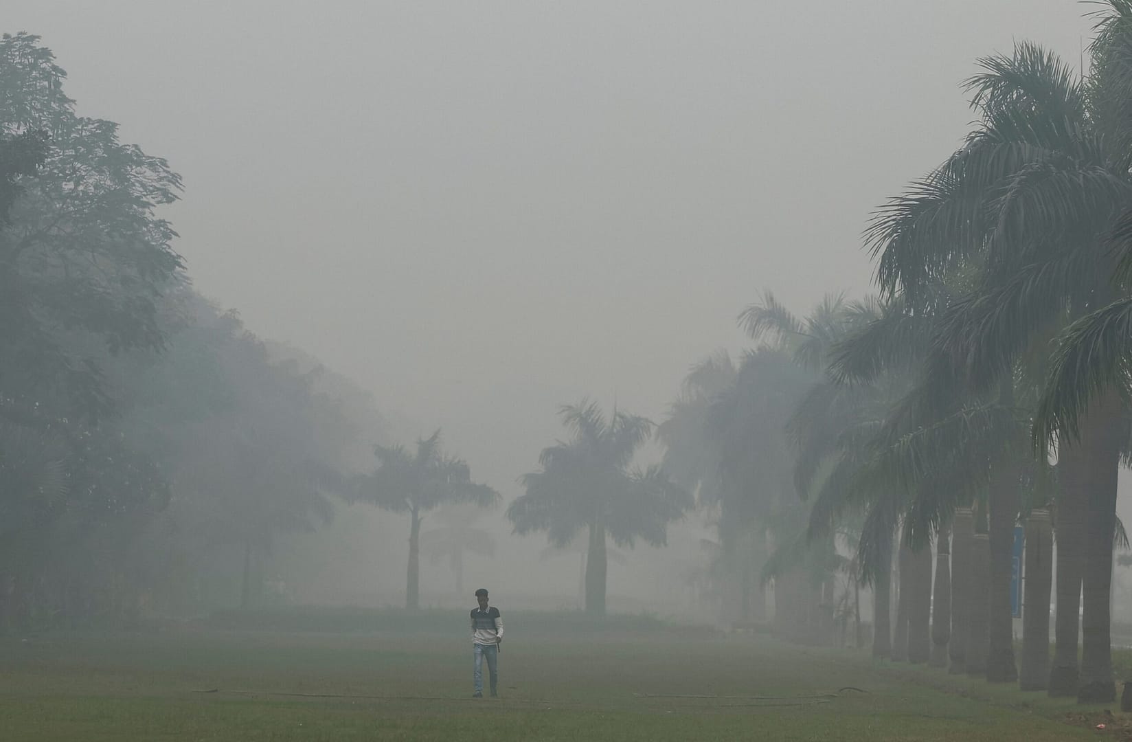 2jmidmcg delhi pollution 625x300 14 November 24 PAFyTj scaled