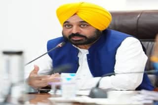 aap in punjab mann under fire
