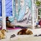AFP__20241124__36N88G9__v1__HighRes__BangladeshPoliticsReligion