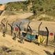 IMG_TH_-_MANIPUR_ELECTIO_2_1_DGDP1T3D