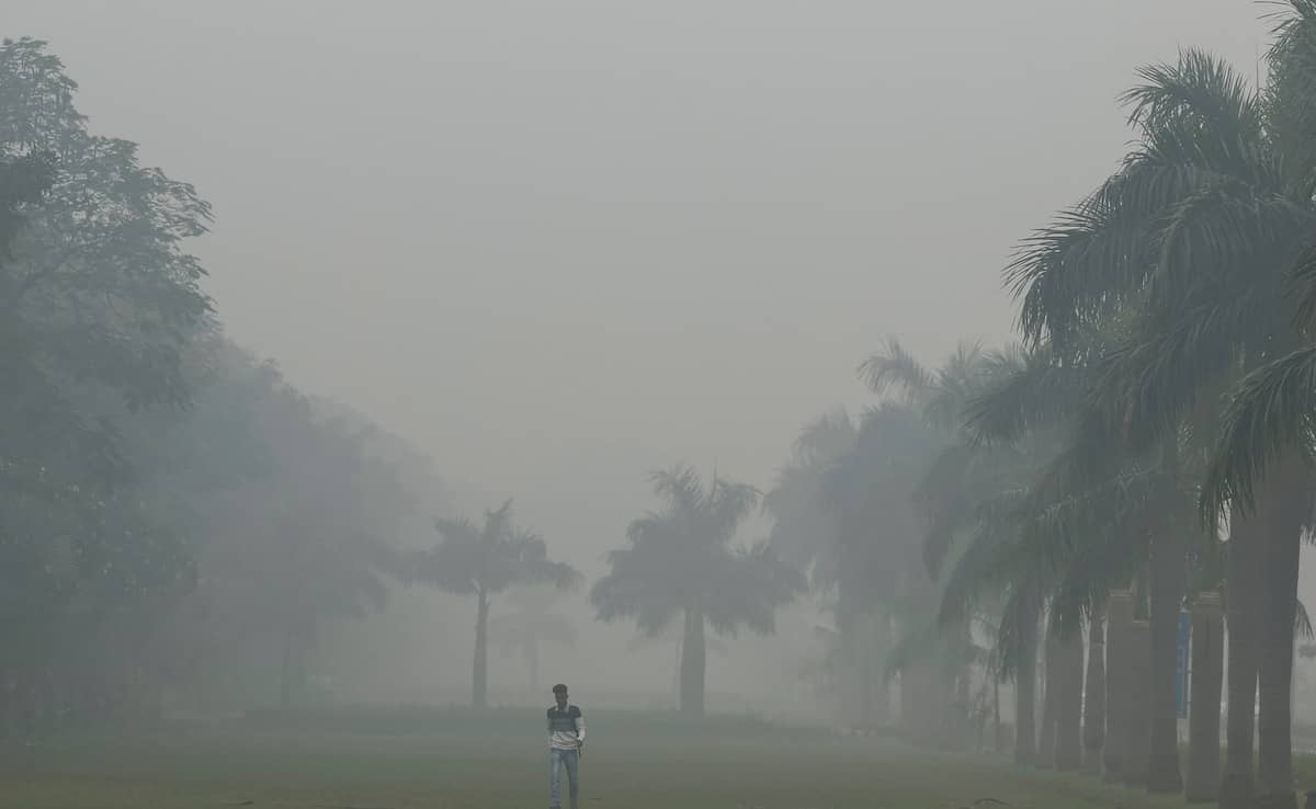 2jmidmcg delhi pollution 625x300 14 November 24 iBu0a0